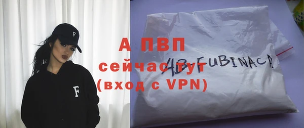 гидра Алексеевка