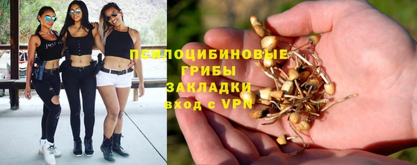 гидра Алексеевка