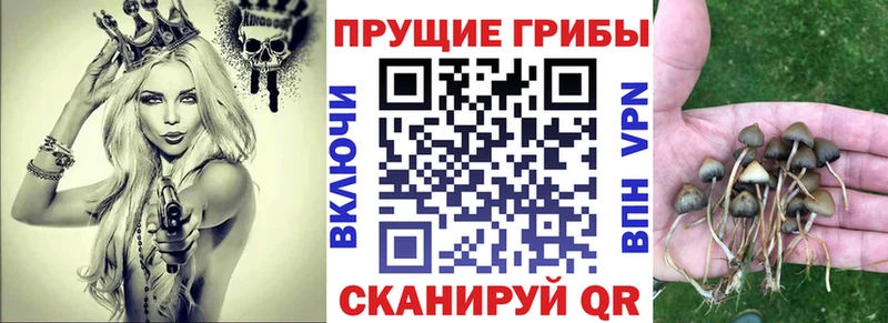 Псилоцибиновые грибы GOLDEN TEACHER  Ивдель 